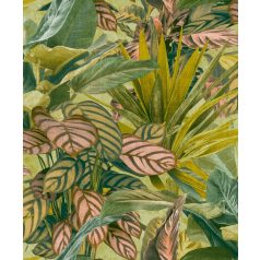   Grandeco Wanderlust WL2003 Botanikus Calathea /zebralevél/ megjelenítés szövetstruktúrán zöld sárgászöld rózsaszín korall tapéta