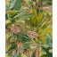 Grandeco Wanderlust WL2003 Botanikus Calathea /zebralevél/ megjelenítés szövetstruktúrán zöld sárgászöld rózsaszín korall tapéta