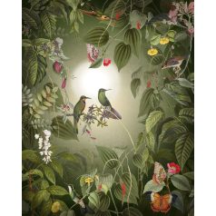   Idilli trópusi életkép - Madarak és pillangók szűrt napfényben liánok és levelek között zöld fehér és sokszínű falpanel/digitális nyomat