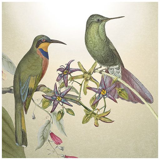 Idilli trópusi életkép - Madarak és pillangók szűrt napfényben liánok és levelek között zöld fehér és sokszínű falpanel/digitális nyomat