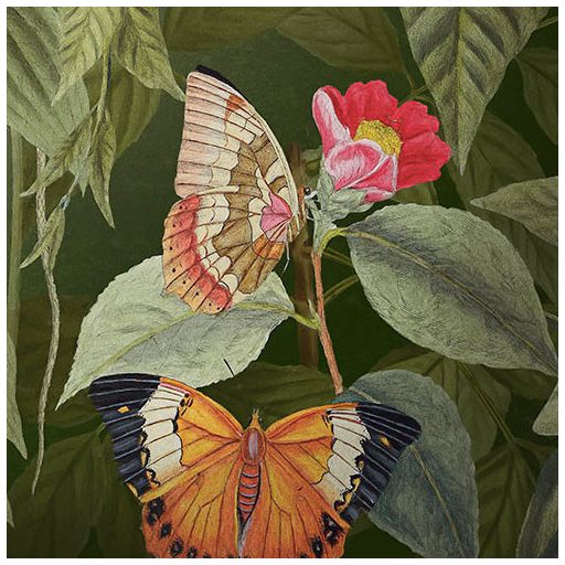 Idilli trópusi életkép - Madarak és pillangók szűrt napfényben liánok és levelek között zöld fehér és sokszínű falpanel/digitális nyomat