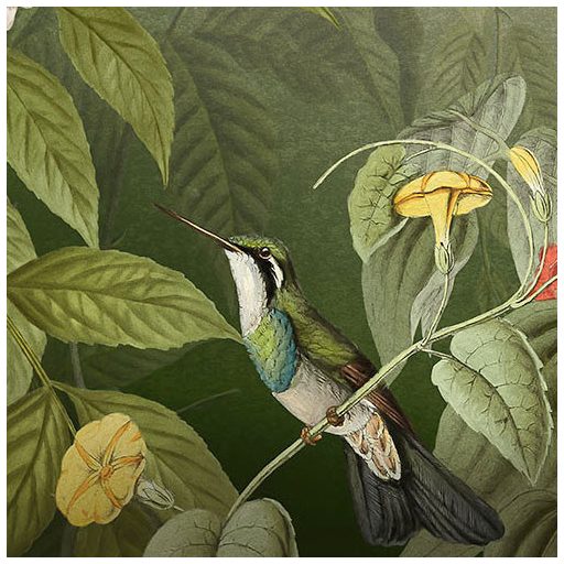 Idilli trópusi életkép - Madarak és pillangók szűrt napfényben liánok és levelek között zöld fehér és sokszínű falpanel/digitális nyomat