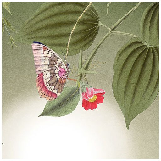 Idilli trópusi életkép - Madarak és pillangók szűrt napfényben liánok és levelek között zöld fehér és sokszínű falpanel/digitális nyomat