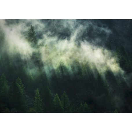 Titokzatos ködbe burkolózó fenyőerdő már-már áttörő napfényben sötétzöld fenyőzöld szürkésfehér és sárga falpanel/digitális nyomat