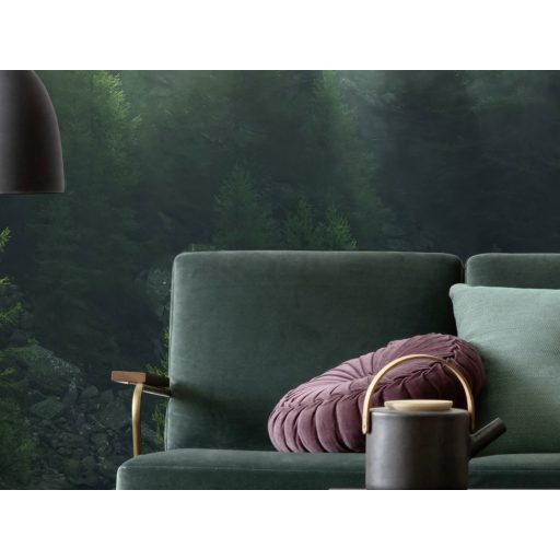 Titokzatos ködbe burkolózó fenyőerdő már-már áttörő napfényben sötétzöld fenyőzöld szürkésfehér és sárga falpanel/digitális nyomat