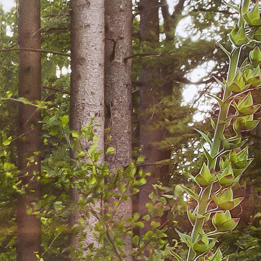 A nap első meleg sugaraiban fürdőző erdei tisztás zöld lila szürke sárga és fehér tónusok falpanel/digitális nyomat