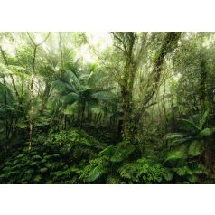   A trópusi erdő legmélyén átszűrődő napfényben zöld szürke barna és napfényfehér tónusok falpanel/digitális nyomat