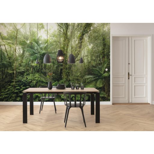 A trópusi erdő legmélyén átszűrődő napfényben zöld szürke barna és napfényfehér tónusok falpanel/digitális nyomat