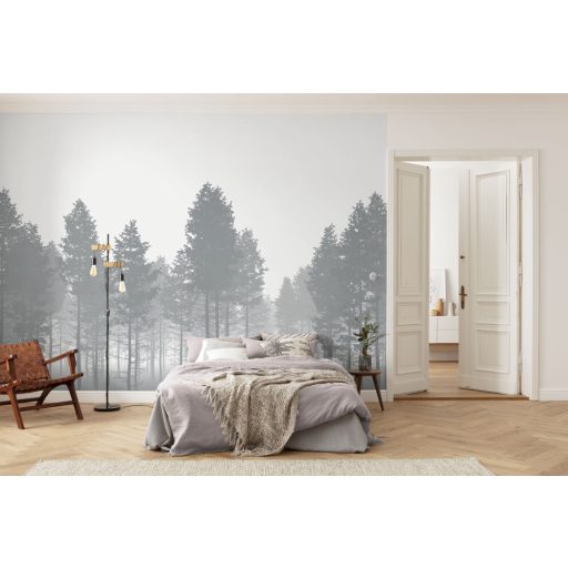 Misztikus és titokzatos kerdő ködpárában fehér szürke és fekete tónusok falpanel/digitális nyomat