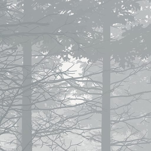 Misztikus és titokzatos kerdő ködpárában fehér szürke és fekete tónusok falpanel/digitális nyomat