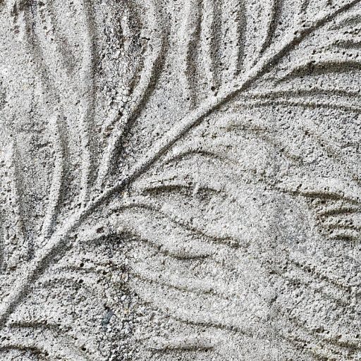 Pihekönnyű tollnyomat nyers durva zsaluzott beton háttéren szürke és sötétszürke/fekete tónusok falpanel/digitális nyomat