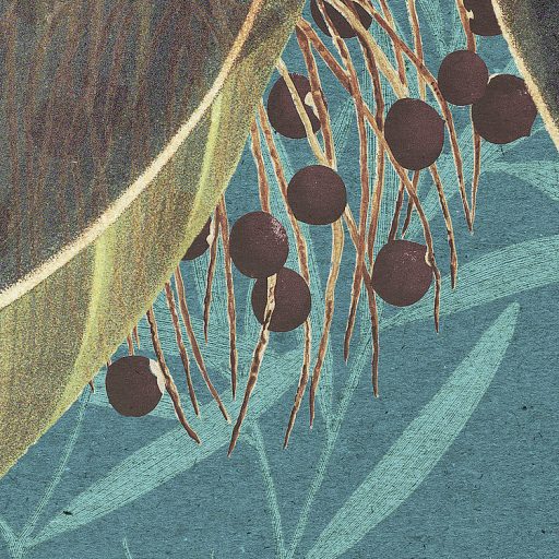 A botanika és a művészet csúcspontja - Elbűvölő levél és jácint design zöldeskék rózsaszín zöld barna és fekete falpanel/digitális nyomat