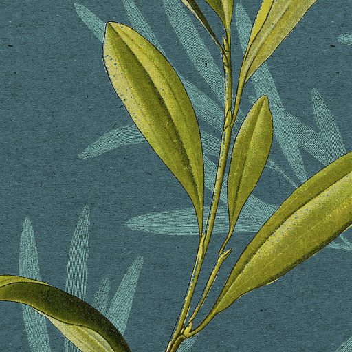 A botanika és a művészet csúcspontja - Elbűvölő levél és jácint design zöldeskék rózsaszín zöld barna és fekete falpanel/digitális nyomat