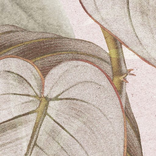 A női szívek meghódítója - Kifinomult kollázs levelek virágok rózsaszín szürke vörös barna zöld és fehér falpanel/digitális nyomat