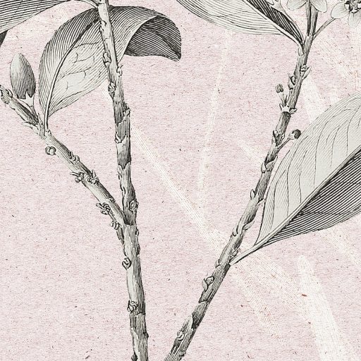 A női szívek meghódítója - Kifinomult kollázs levelek virágok rózsaszín szürke vörös barna zöld és fehér falpanel/digitális nyomat