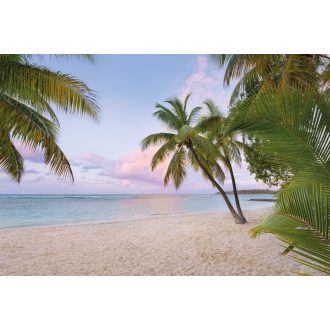 Komar Paradise Morning XXL4-528 vliesposzter