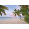 Komar Paradise Morning XXL4-528 vliesposzter