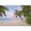 Komar Paradise Morning XXL4-528 vliesposzter