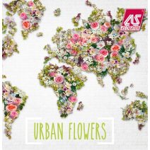 Urban Flowers 