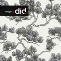Wall Fabric
