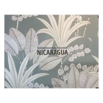 Nicaragua 2025